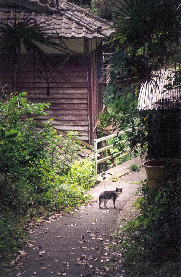 tashirojima japan