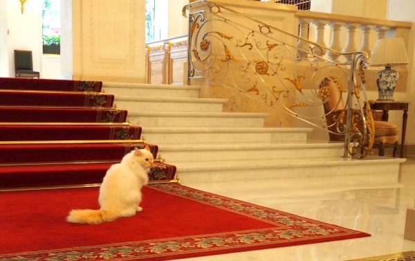 le bristol hotel lobby
