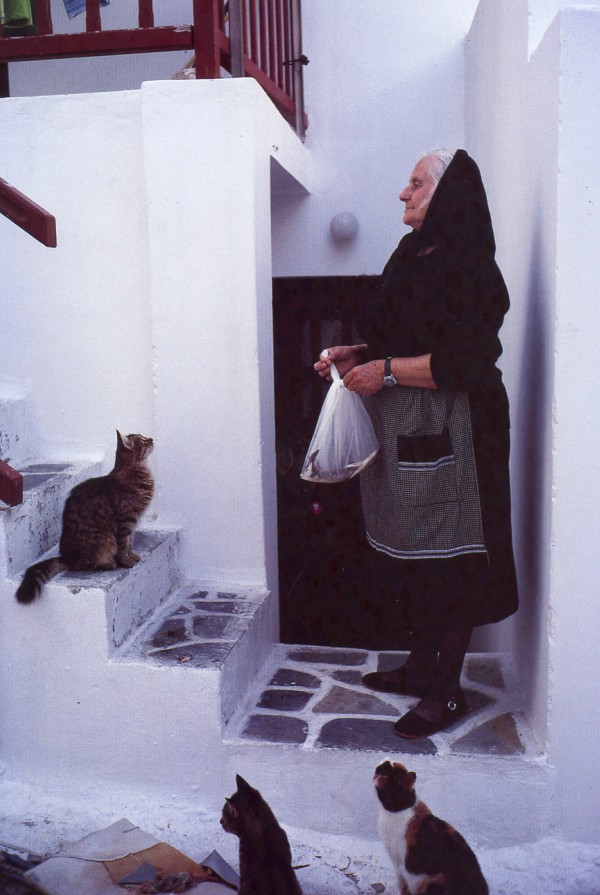 cats naxos