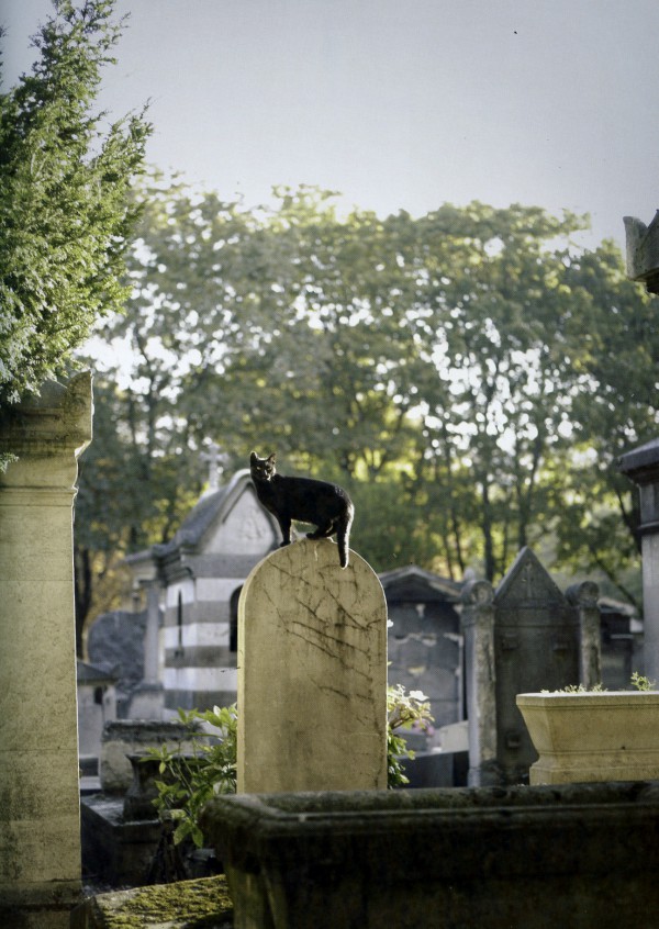 cimetière montmartre