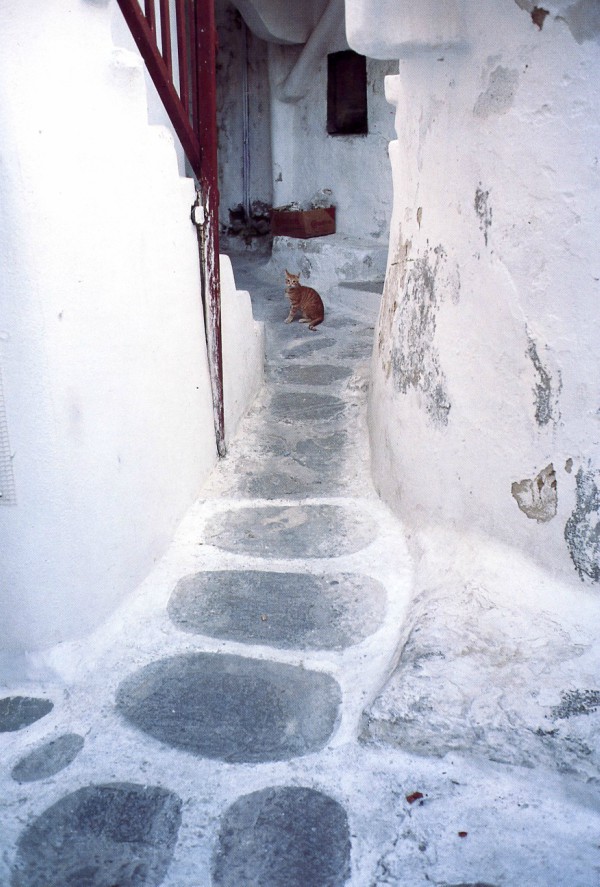 naxos pictures