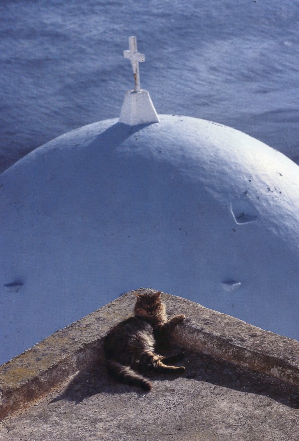 oia photoshoot ideas
