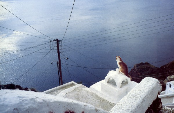 oia photoshoot