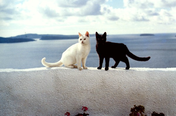 santorini photoshoot
