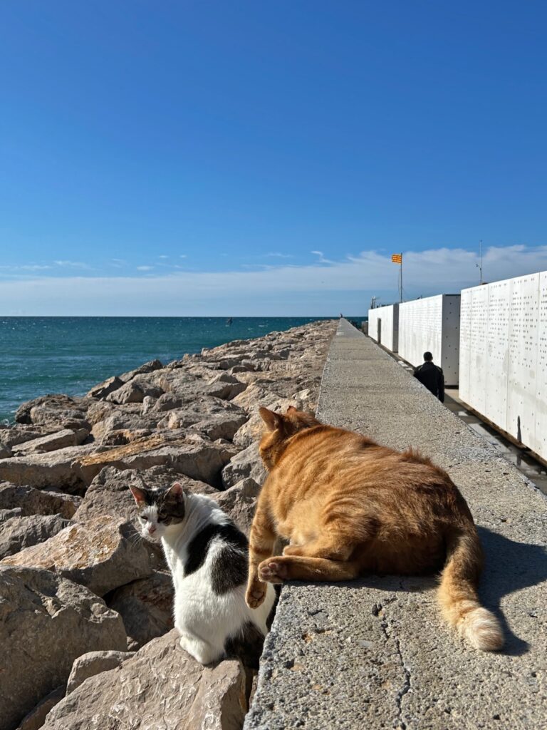 Barcelona Sitges