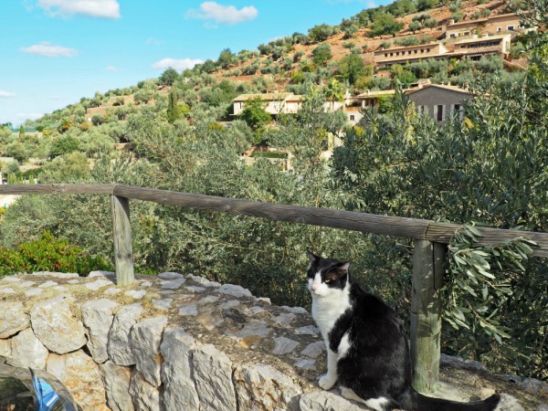 deia best views