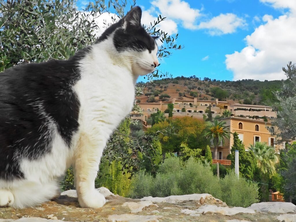 deià
