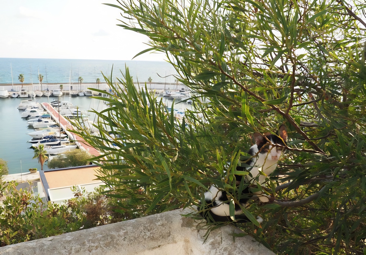 Sitges port