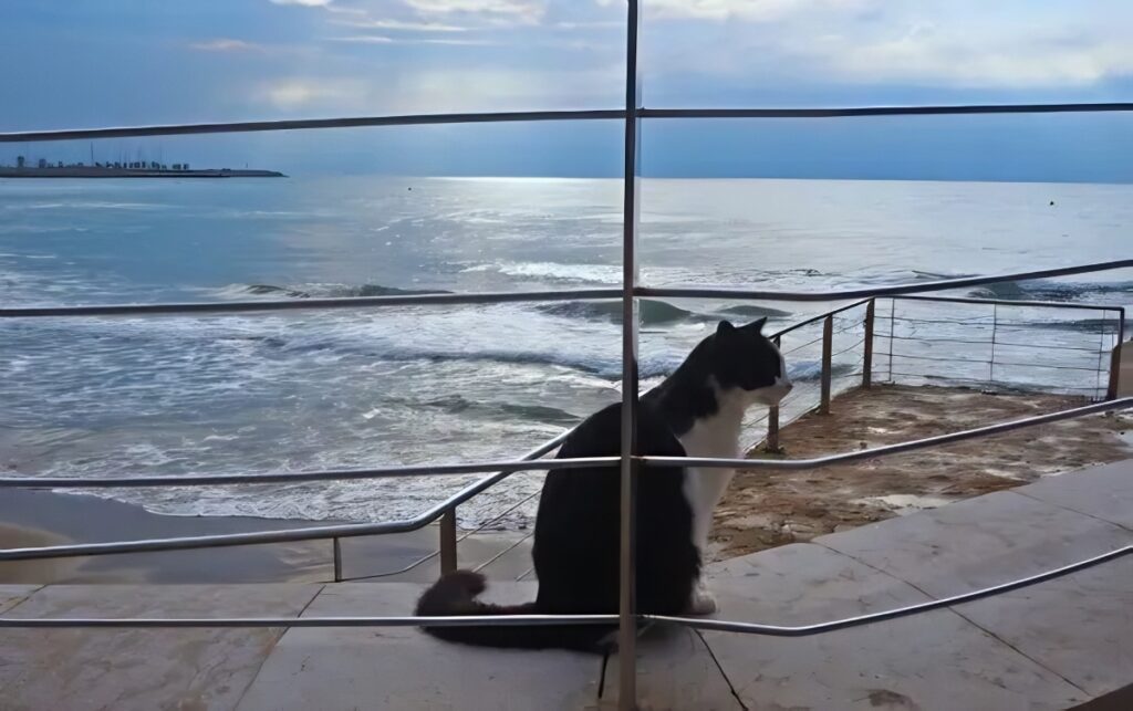 Sitges beach