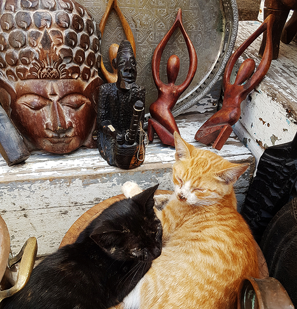 art cats