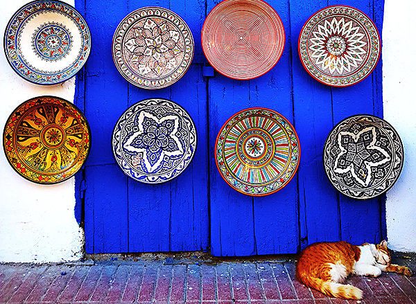 cats of Riad