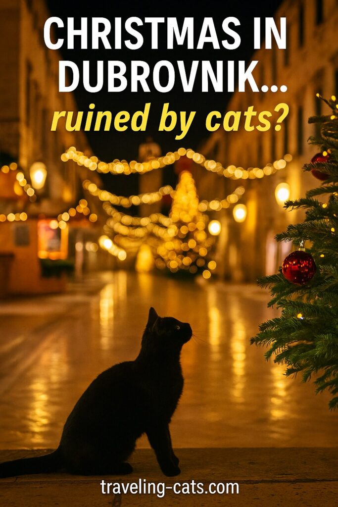Christmas in Dubrovnik