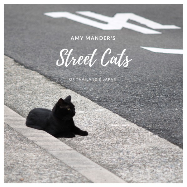 cute gifts for cat lovers