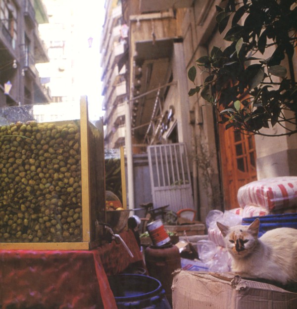 Cairo Bab-al-Louk
