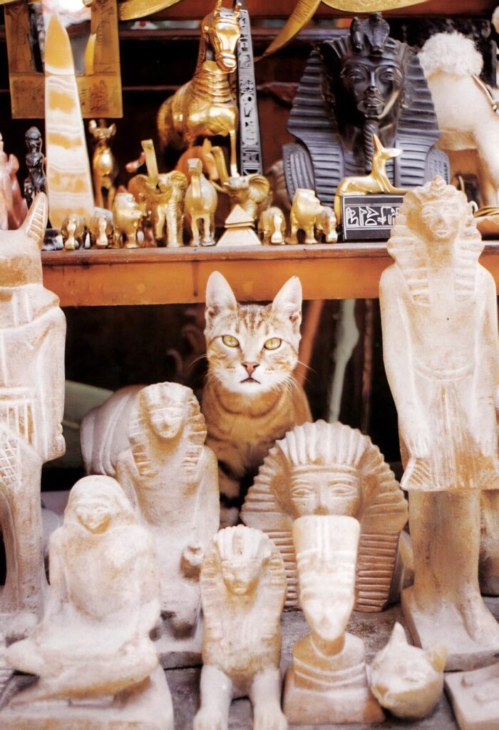 things to do in Cairo
