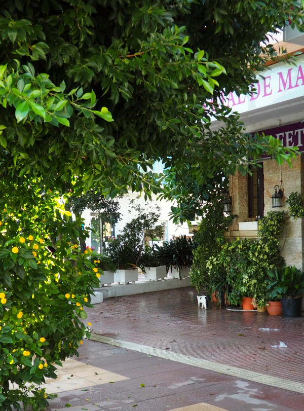 las delicias soller