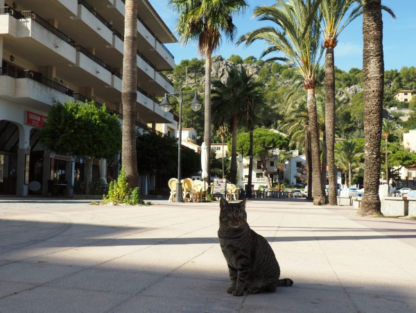 paseo de la playa soller