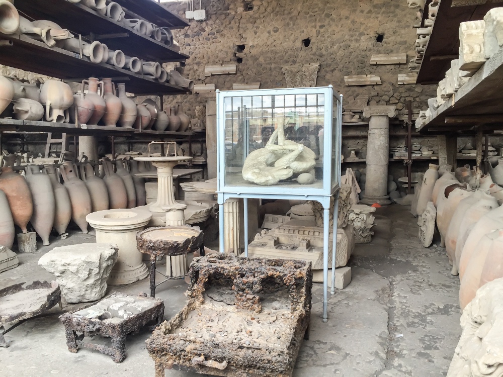 Pompeii dog cast