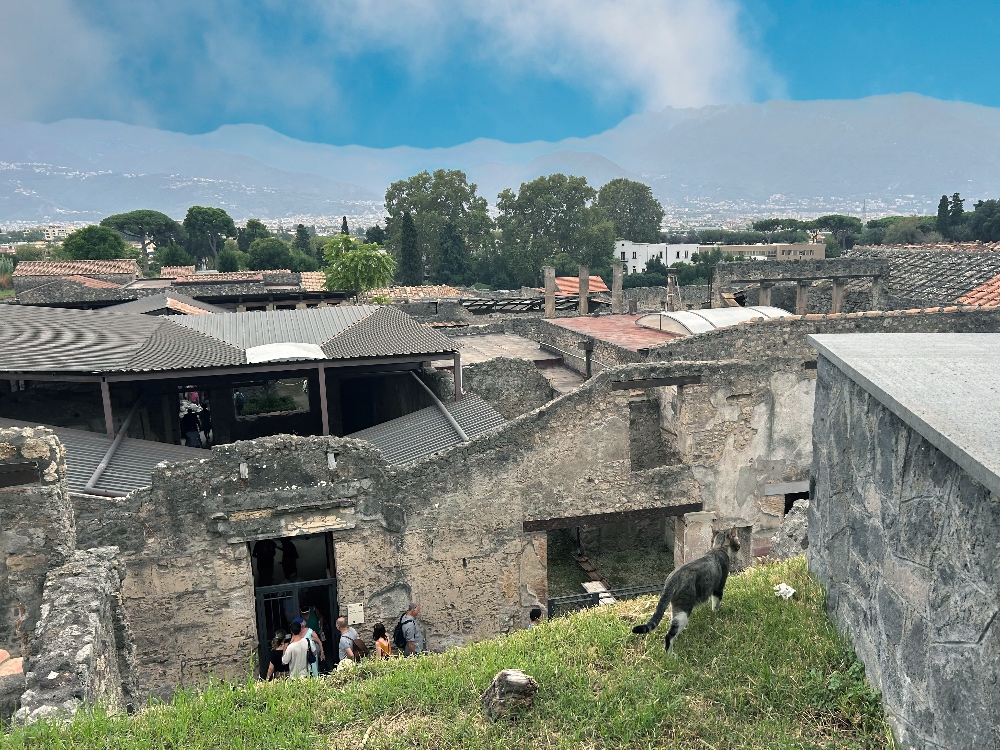 Pompeii Scavi