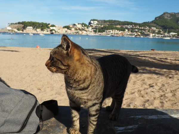 port de soller beach
