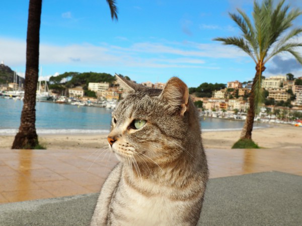 best beach port de soller