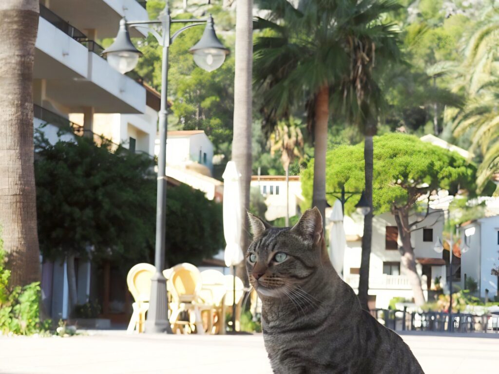 Paseo de la Playa in Port de Soller