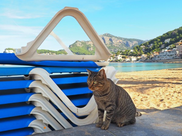 soller beach