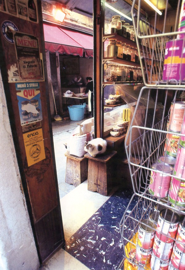 venice grocery store