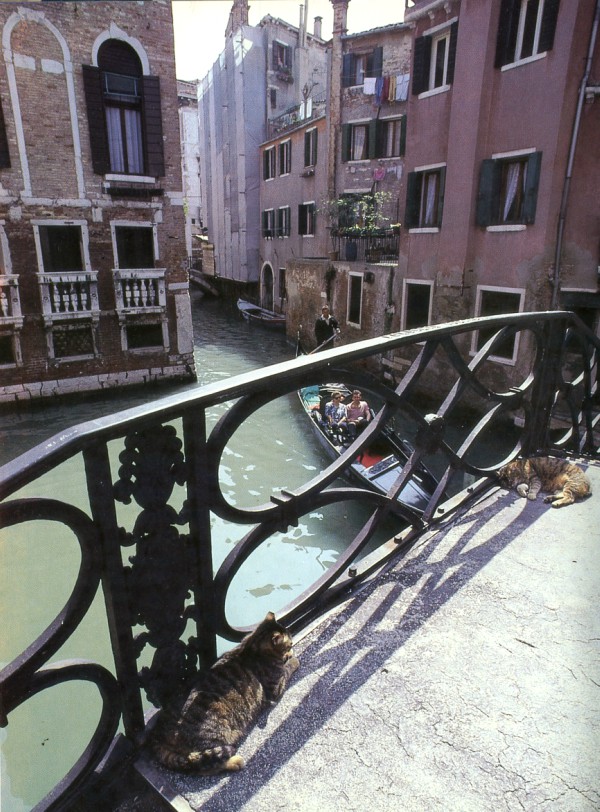 venice hidden gems