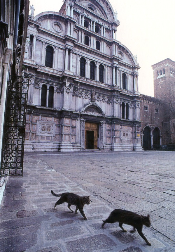venice hidden spots
