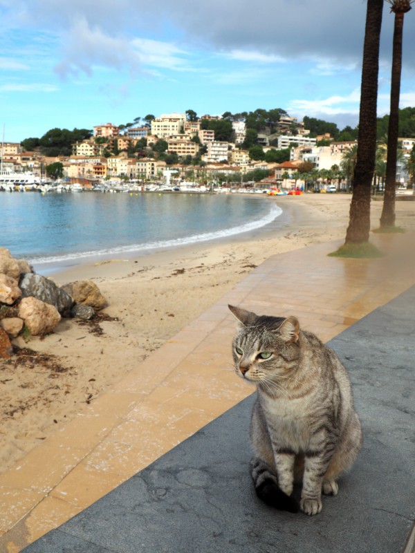 where to eat port de soller