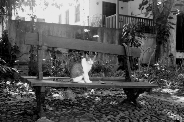 old san juan bench