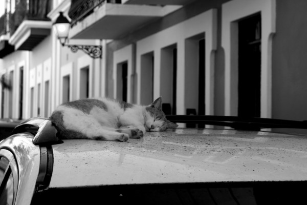 puerto rico hurricane relief