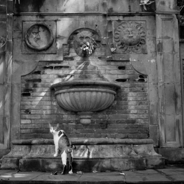 san juan fountain square