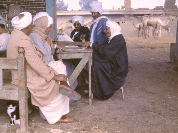 cats worshiped in egypt