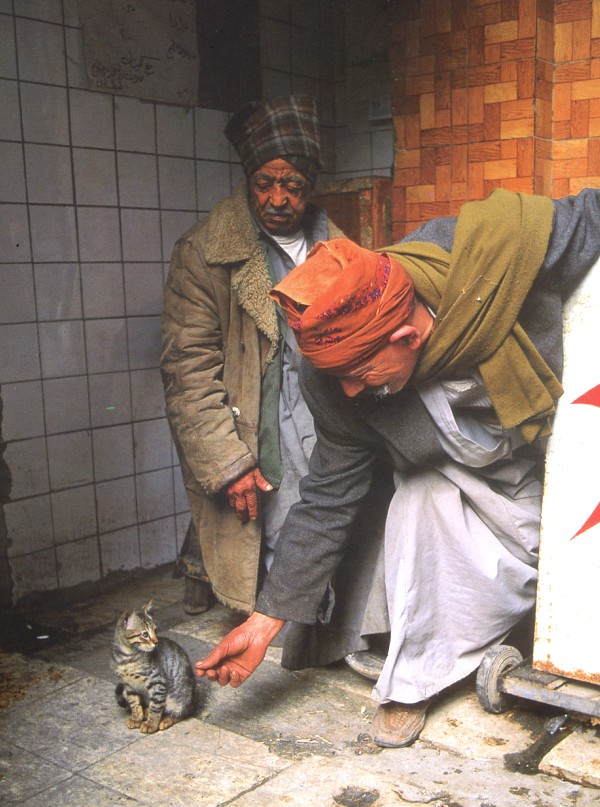 egypt worships cats