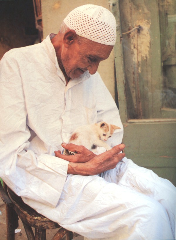 worship cats in egypt