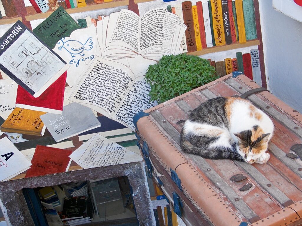 Santorini bookstore cats