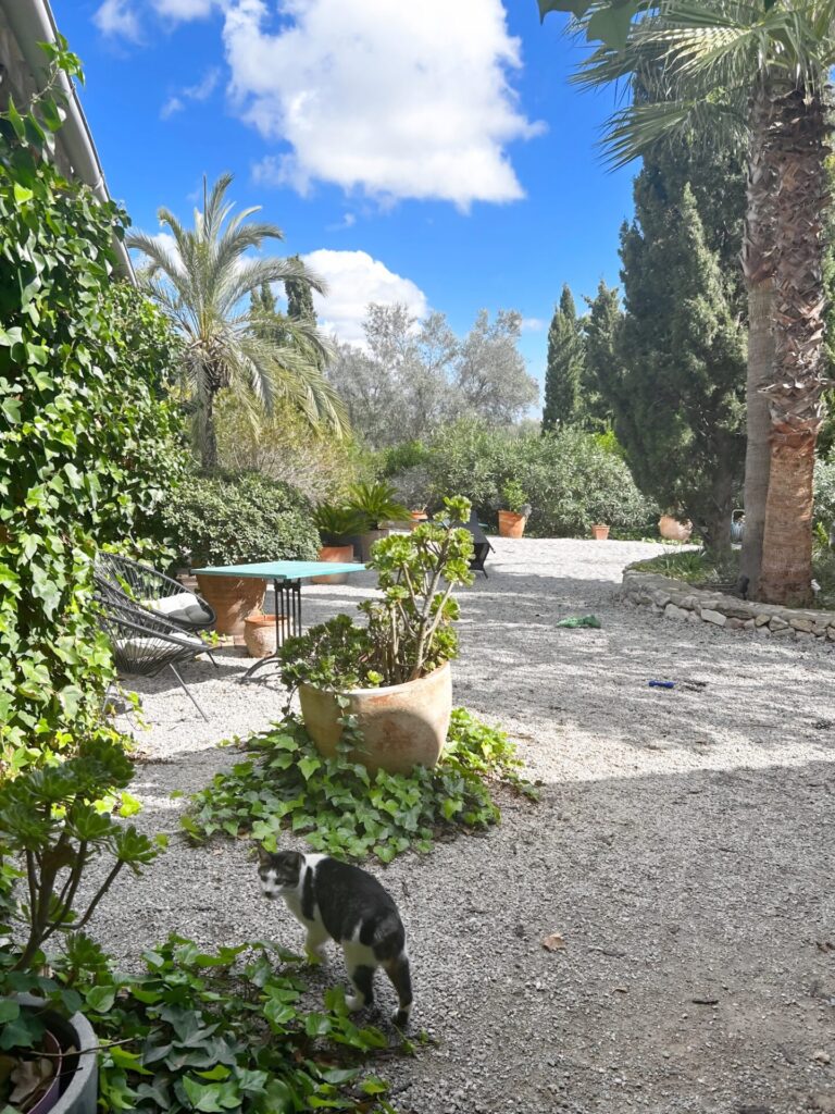 Finca Son Jorbo Mallorca
