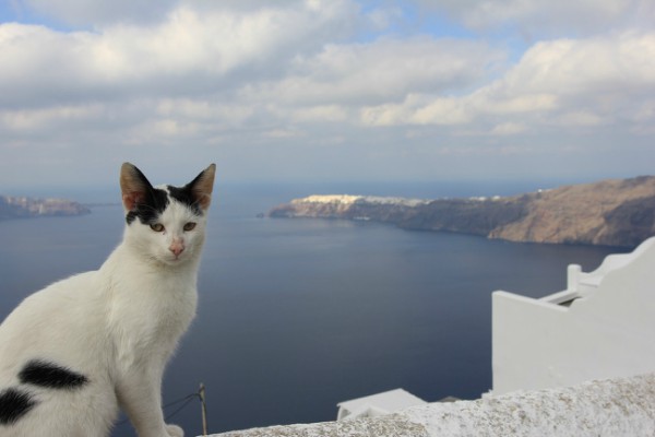 santorini best views