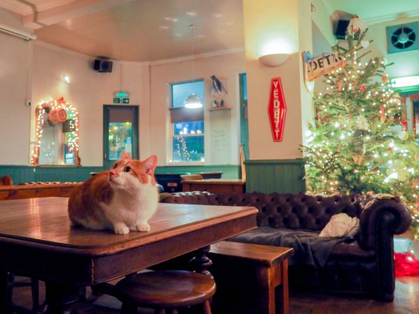 london pub interior