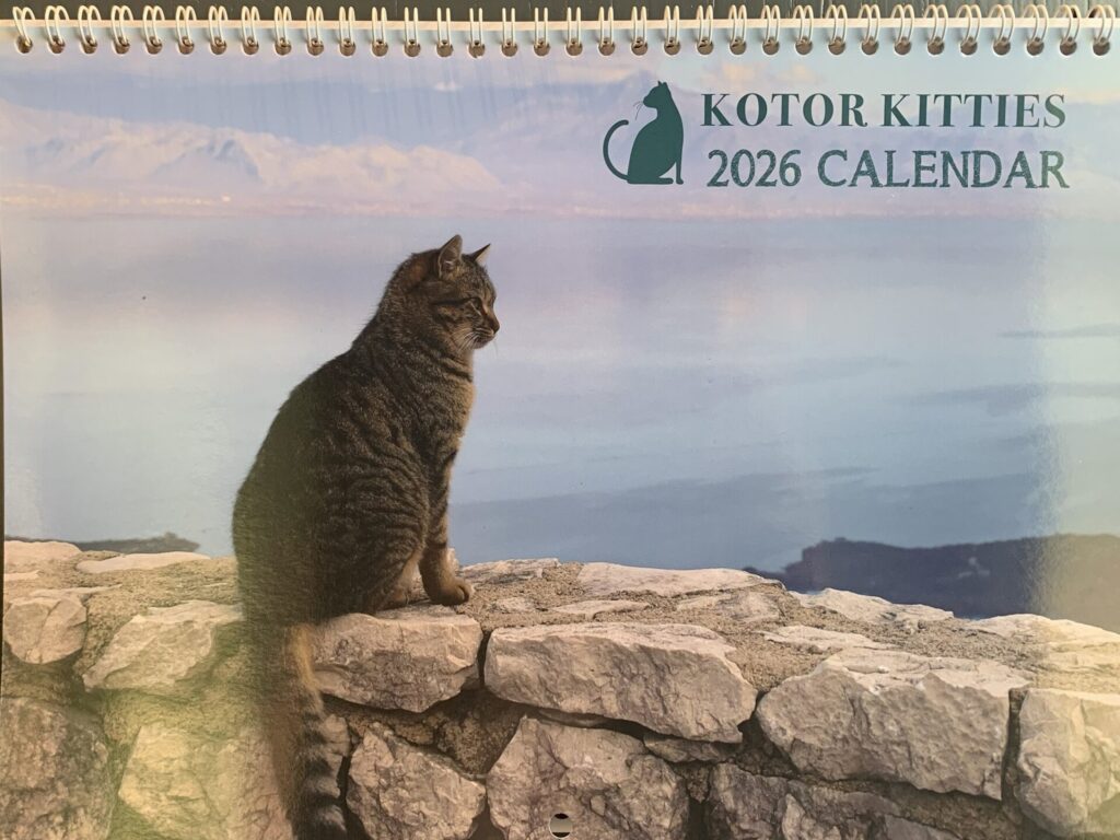 Kotor Kitties calendar