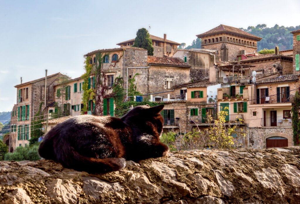 is Valldemossa worth visiting