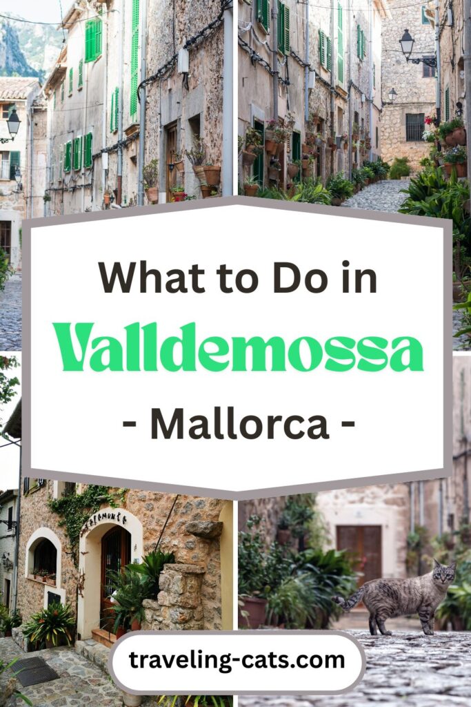Valldemossa
