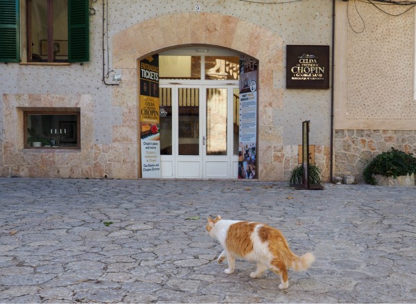 chopin museum mallorca