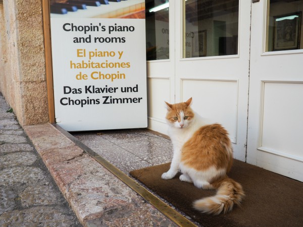 valldemossa chopin museum