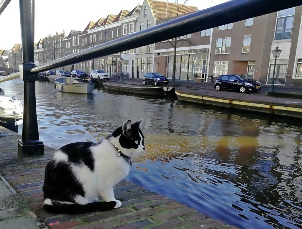 Leiden Netherlands