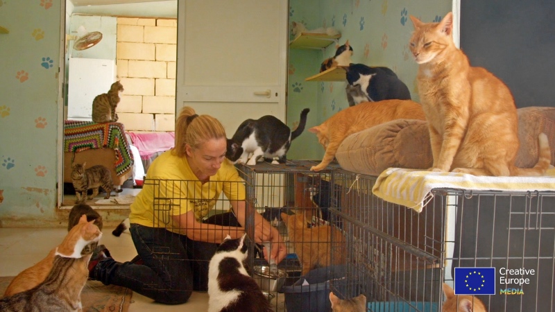Malta Cat Cafe
