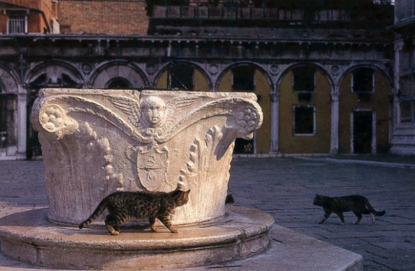 piazzale roma