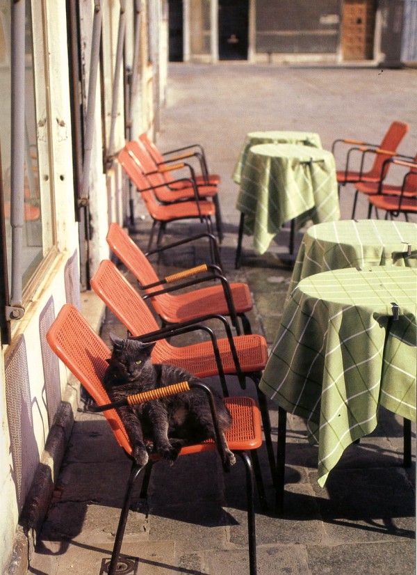 venice restaurant